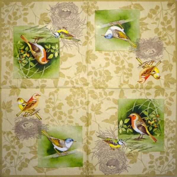 064 Vögel - 3-ply (yellow) - Ihr